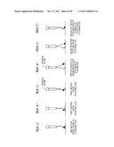 WALKING MOTION ASSISTING DEVICE diagram and image