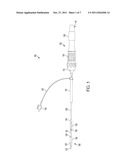 Prosthetic Valve with Sealing Members and Methods of Use Thereof diagram and image