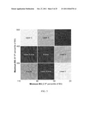 Method, System, and Computer Program Product For Tracking of Blood Glucose     Variability in Diabetes diagram and image