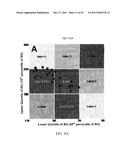 Method, System, and Computer Program Product For Tracking of Blood Glucose     Variability in Diabetes diagram and image