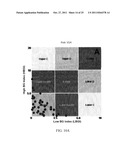 Method, System, and Computer Program Product For Tracking of Blood Glucose     Variability in Diabetes diagram and image