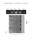 ELECTROCHROMIC DEVICES diagram and image