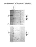 ELECTROCHROMIC DEVICES diagram and image