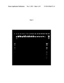 USE OF TDE FOR ISOLATION OF NUCLEIC ACIDS diagram and image