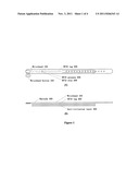 Systems, Methods, Apparatus of a Secure RFID Record diagram and image