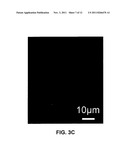 APPARATUS, METHOD AND SYSTEM FOR GENERATING OPTICAL RADIATION FROM     BIOLOGICAL GAIN MEDIA diagram and image