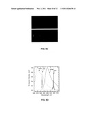 APPARATUS, METHOD AND SYSTEM FOR GENERATING OPTICAL RADIATION FROM     BIOLOGICAL GAIN MEDIA diagram and image