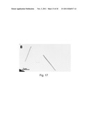 PEPTIDE NANOSTRUCTURES ENCAPSULATING A FOREIGN MATERIAL AND METHOD OF     MANUFACTURING SAME diagram and image