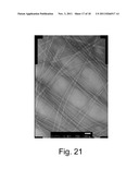 PEPTIDE NANOSTRUCTURES ENCAPSULATING A FOREIGN MATERIAL AND METHOD OF     MANUFACTURING SAME diagram and image