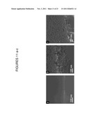 POROUS AND NON-POROUS NANOSTRUCTURES diagram and image