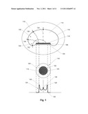 ION BEAM EXTRACTION BY DISCRETE ION FOCUSING diagram and image