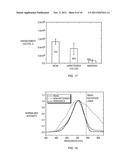 ENGINEERED SERS SUBSTRATES EMPLOYING NANOPARTICLE CLUSTER ARRAYS WITH     MULTISCALE SIGNAL ENHANCEMENT diagram and image