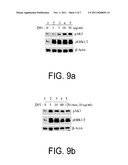 METHODS FOR TREATING VASCULAR LEAK SYNDROME diagram and image