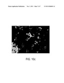 METHODS FOR TREATING VASCULAR LEAK SYNDROME diagram and image