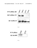 PROCESS FOR REGULATING IMMUNE RESPONSE diagram and image