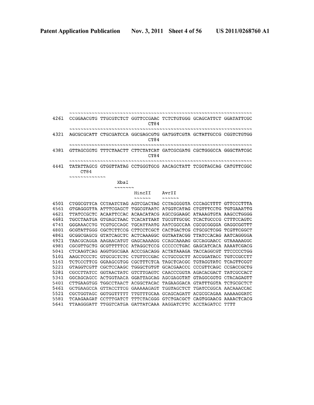 SALMONELLA VECTORED VACCINES AGAINST CHLAMYDIA AND METHODS OF USE - diagram, schematic, and image 05