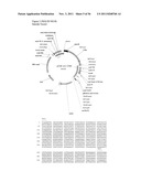 SALMONELLA VECTORED VACCINES AGAINST CHLAMYDIA AND METHODS OF USE diagram and image