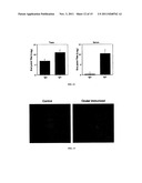 IMMUNIZATION OF AVIANS BY MUCOSAL ADMINISTRATION OF NON-REPLICATING     VECTORED VACCINES diagram and image