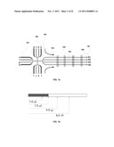 System and Method for Making Lab Card by Embossing diagram and image