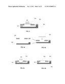 System and Method for Making Lab Card by Embossing diagram and image