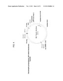 PRODUCTION OF ARACHIDONIC ACID IN OILSEED PLANTS diagram and image