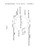 PRODUCTION OF ARACHIDONIC ACID IN OILSEED PLANTS diagram and image