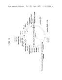 PRODUCTION OF ARACHIDONIC ACID IN OILSEED PLANTS diagram and image