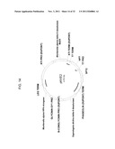 PRODUCTION OF ARACHIDONIC ACID IN OILSEED PLANTS diagram and image