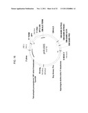 PRODUCTION OF ARACHIDONIC ACID IN OILSEED PLANTS diagram and image