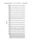 PRODUCTION OF ARACHIDONIC ACID IN OILSEED PLANTS diagram and image