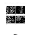 CONFORMAL COATING OF POLYMER FIBERS ON NONWOVEN SUBSTRATES diagram and image