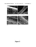 CONFORMAL COATING OF POLYMER FIBERS ON NONWOVEN SUBSTRATES diagram and image