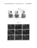 CYTOCOMPATIBLE THREE-DIMENSIONAL STRUCTURES FABRICATED BY     MICROSTEREOLITHOGRAPHY diagram and image