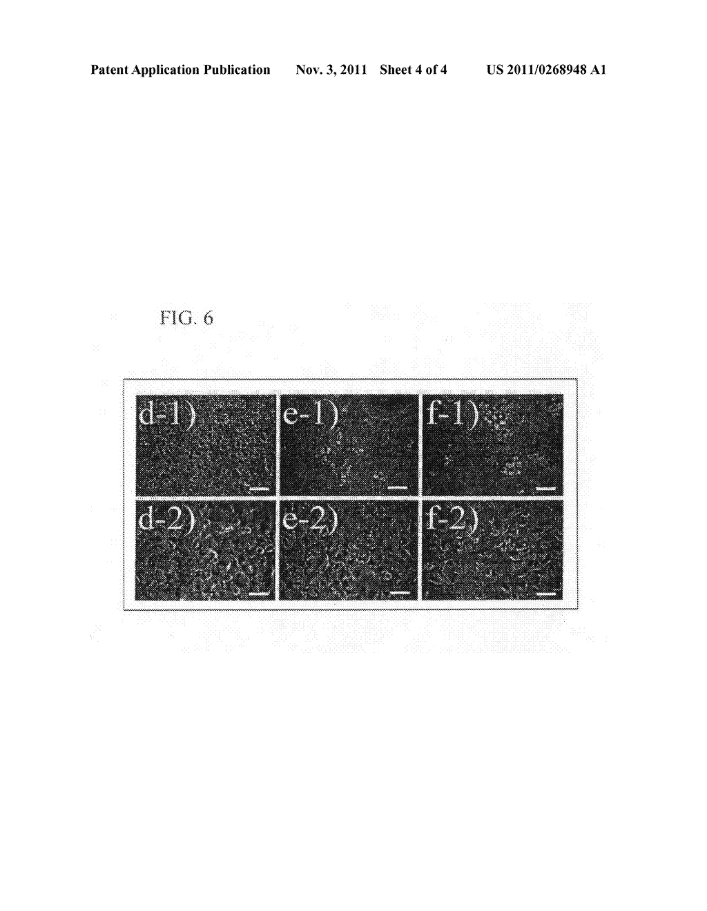 CYTOCOMPATIBLE THREE-DIMENSIONAL STRUCTURES FABRICATED BY     MICROSTEREOLITHOGRAPHY - diagram, schematic, and image 05