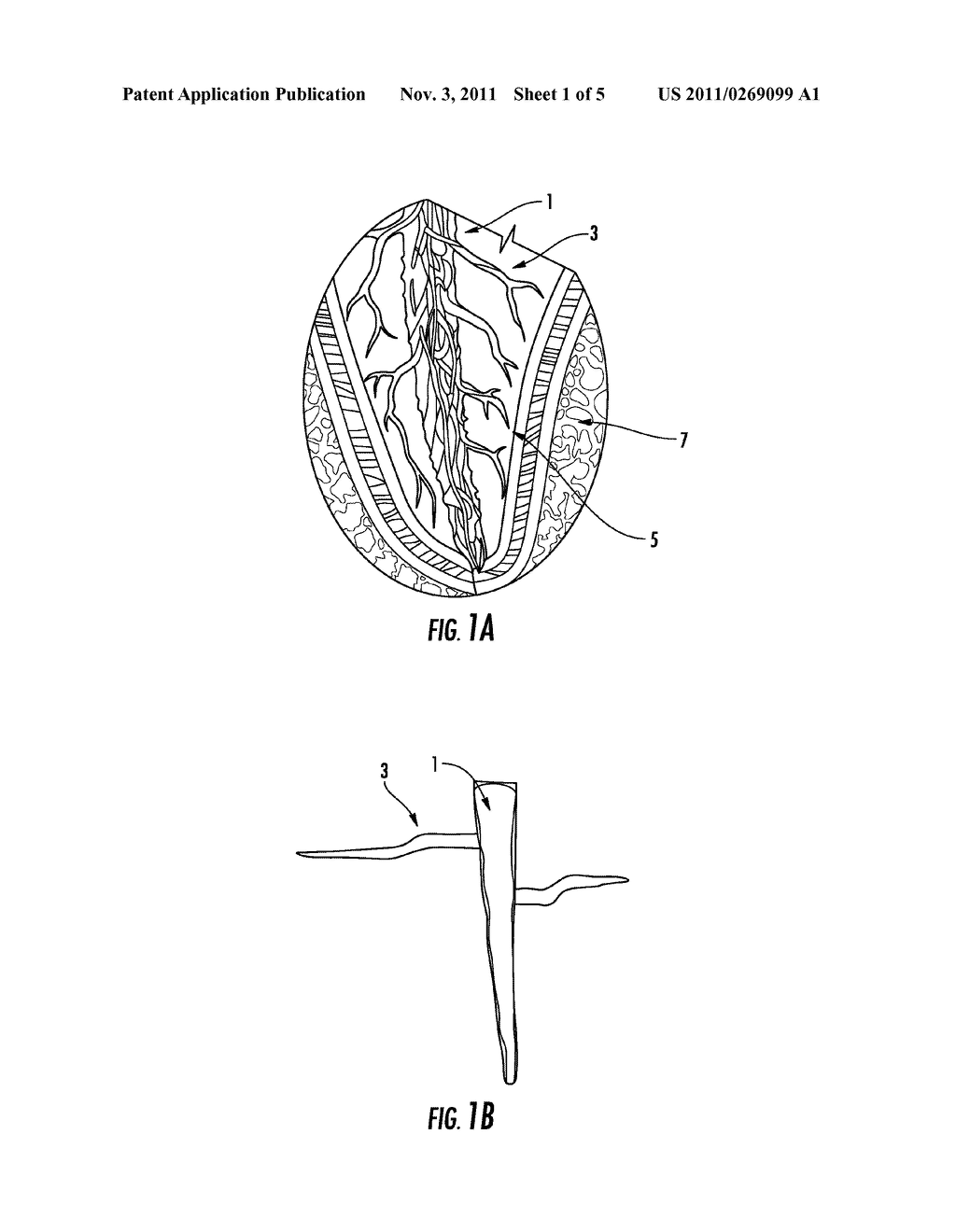 DENTAL AND MEDICAL TREATMENTS AND PROCEDURES - diagram, schematic, and image 02