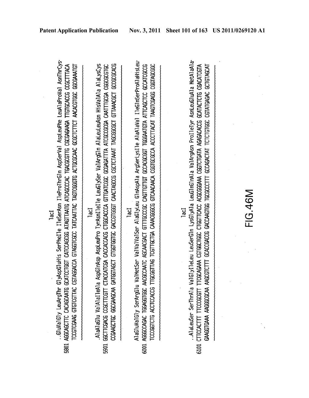 METHODS AND COMPOSITIONS FOR DETECTING PROMOTER ACTIVITY AND EXPRESSING     FUSIONPROTEINS - diagram, schematic, and image 102