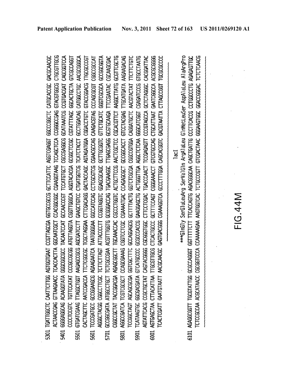 METHODS AND COMPOSITIONS FOR DETECTING PROMOTER ACTIVITY AND EXPRESSING     FUSIONPROTEINS - diagram, schematic, and image 73