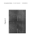 Antibiotice Susceptibility Profiling Methods diagram and image