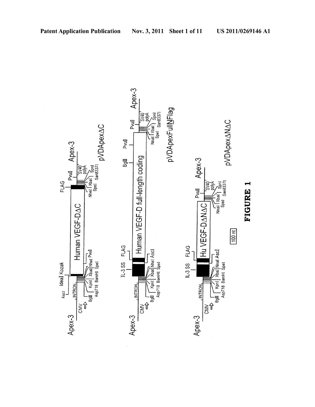 Expression Vectors and Cell Lines Expressing Vascular Endothelial Growth     Factor D, and Method of Treating Melanomas - diagram, schematic, and image 02