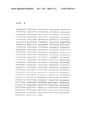 Expression Vectors and Cell Lines Expressing Vascular Endothelial Growth     Factor D, and Method of Treating Melanomas diagram and image