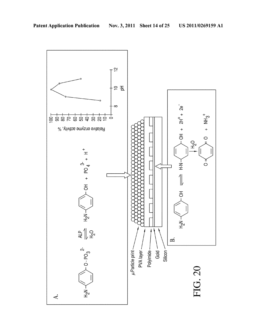 REAGENTS FOR REDUCING LEUKOCYTE INTERFERENCE IN IMMUNOASSAYS - diagram, schematic, and image 15