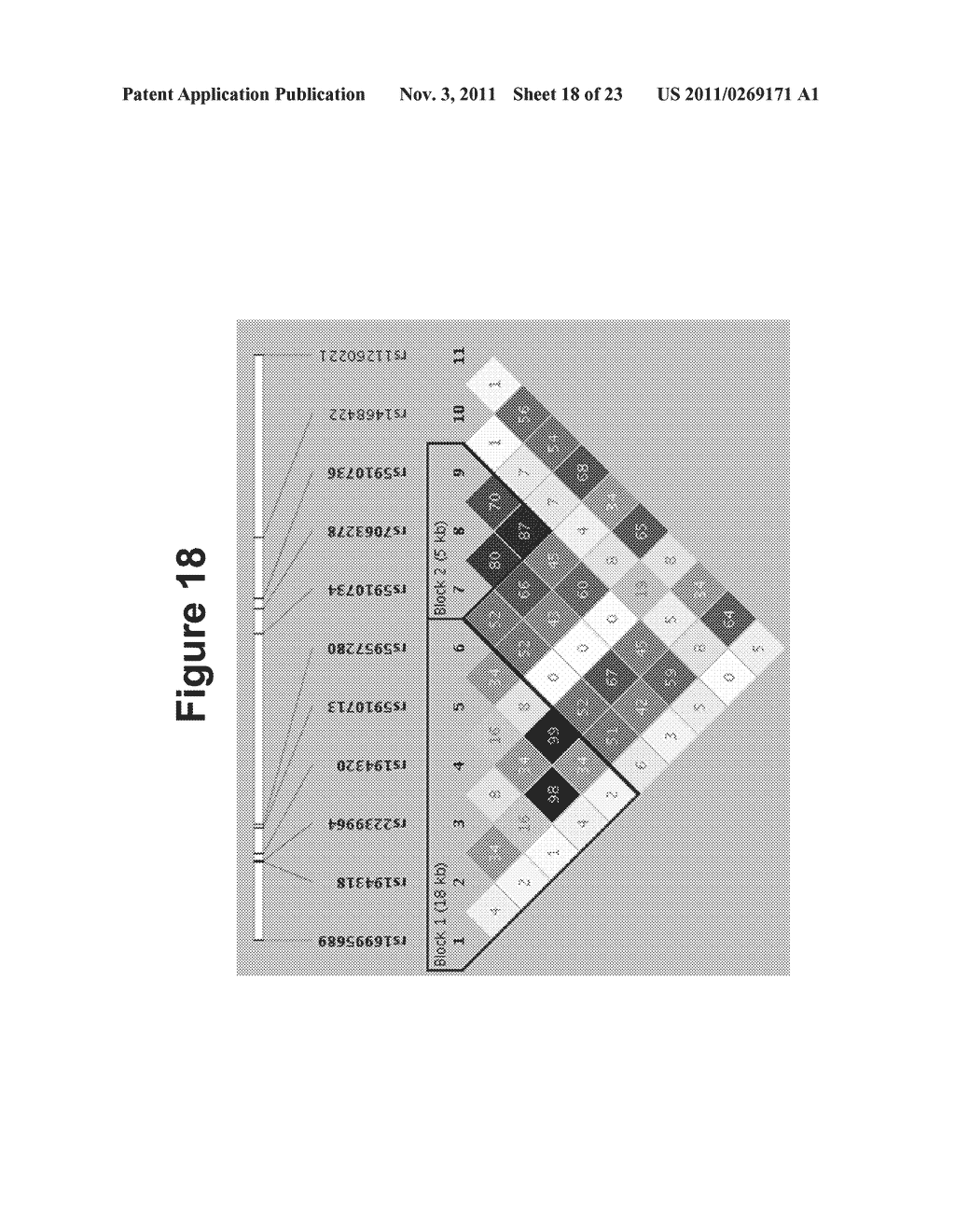 METHODS AND MATERIALS FOR USING NKAP POLYPEPTIDE EXPRESSION LEVELS OR     PATTERNS TO DETECT OR ASSESS CANCER - diagram, schematic, and image 19