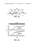 REGULATORS OF NFAT diagram and image