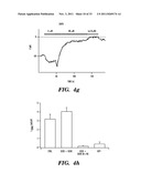 REGULATORS OF NFAT diagram and image