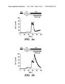 REGULATORS OF NFAT diagram and image