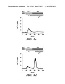 REGULATORS OF NFAT diagram and image