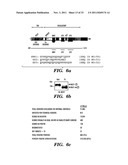 REGULATORS OF NFAT diagram and image