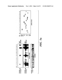 REGULATORS OF NFAT diagram and image