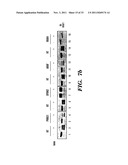 REGULATORS OF NFAT diagram and image