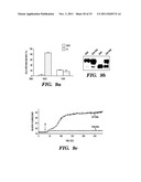 REGULATORS OF NFAT diagram and image